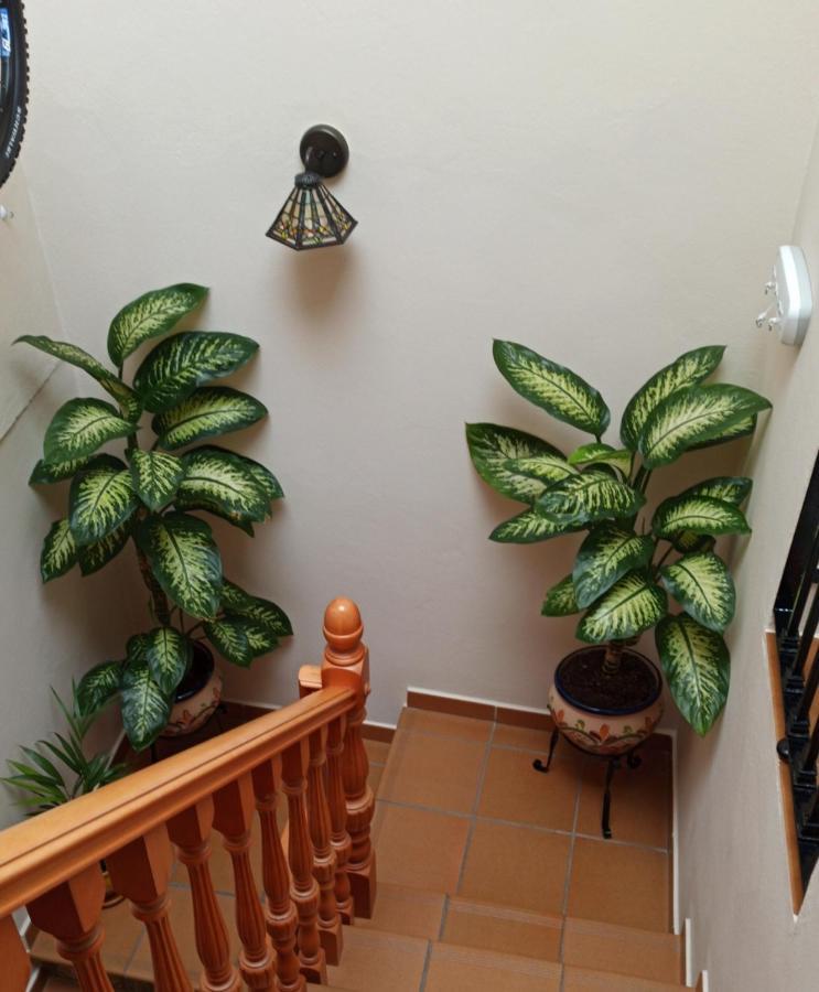 Casa Rural Abril Setenil De Las Bodegas Zewnętrze zdjęcie